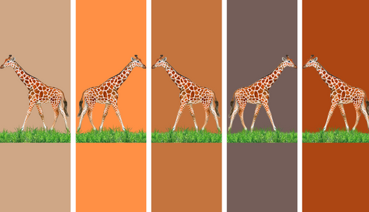 Graceful Giraffe Galore: 10-Piece Digital Bookmark Set